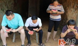 温县网红吃瓜事件视频最新,一场网络狂欢背后的真相揭秘