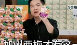 爆料西梅汁的视频大全,视频大全大揭秘